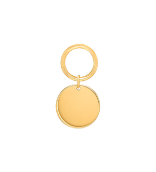 Galeria Disc 18k Yellow Gold Earrings