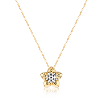 Heart To Heart Star Flower Pendant Chain Yellow Gold  