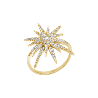 Djula Diamond Big Sun Ring in 18K Gold