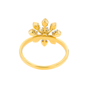 Nakshatra Diamond Ring in 18K Gold