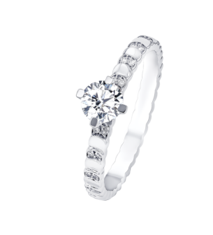 Revolve Signature Design 0.3 Carat Round Brilliant Diamond Engagment Ring Discs Diamond Studded Band 