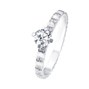 Revolve Signature Design 0.3 Carat Round Brilliant Diamond Engagment Ring Discs Diamond Studded Band 