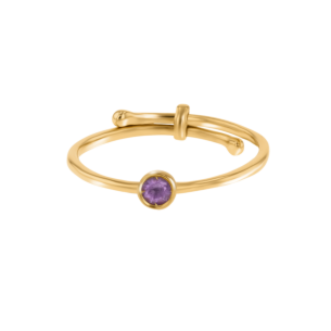 Children's Jewellery Ara Amethyst February Birthstone Ring        